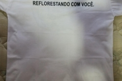 Projeto Reflorestamento 02